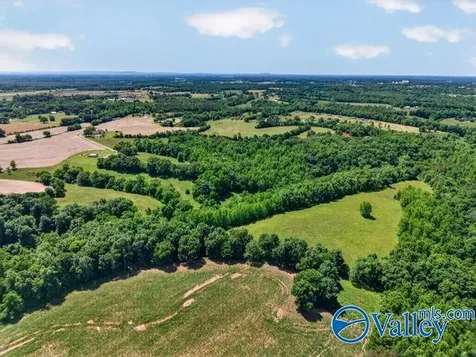 37 Old Mclemore Road Taft TN 38488