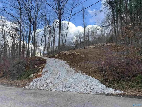 Lot 22 Snug Harbor Road Grant AL 35747