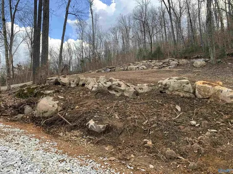 Lot 22 Snug Harbor Road Grant AL 35747