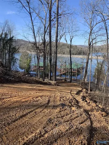 Lot 22 Snug Harbor Road Grant AL 35747