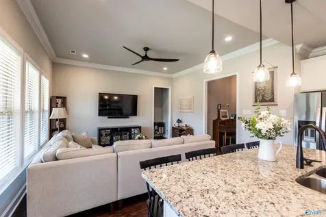 136 Rita Ann Way Meridianville AL 35759
