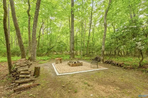 611 Cove Road Mentone AL 35984
