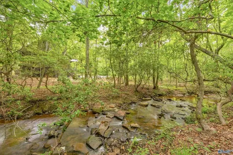 611 Cove Road Mentone AL 35984