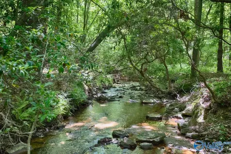 611 Cove Road Mentone AL 35984