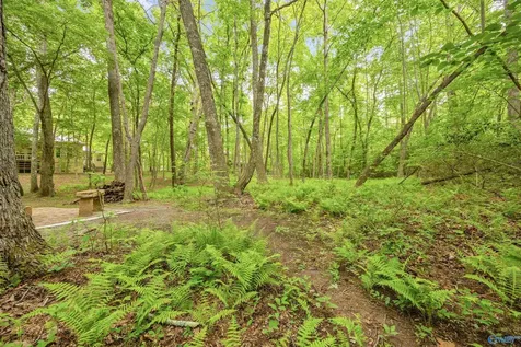 611 Cove Road Mentone AL 35984
