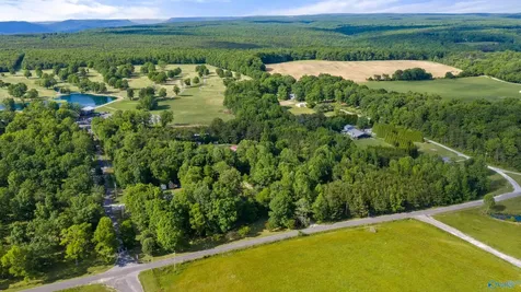 4 County Road 647 Mentone AL 35984