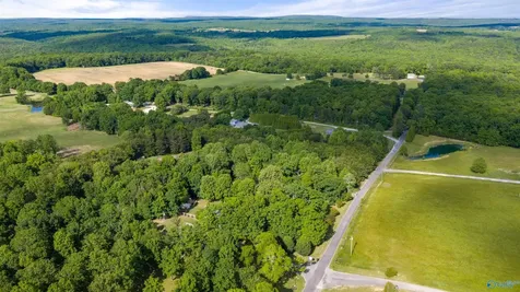 4 County Road 647 Mentone AL 35984