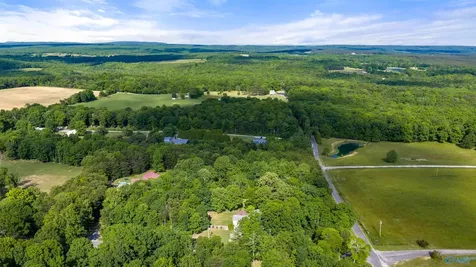 4 County Road 647 Mentone AL 35984