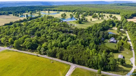 4 County Road 647 Mentone AL 35984
