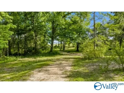 4 County Road 647 Mentone AL 35984