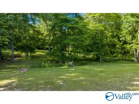 4 County Road 647 Mentone AL 35984
