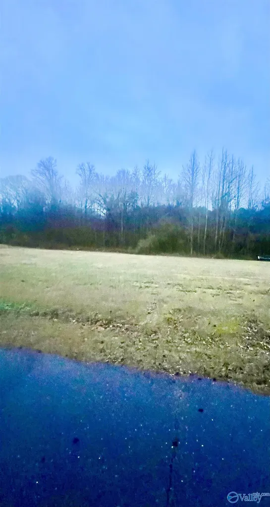 Lot 1 Holcomb Road Guntersville AL 35976