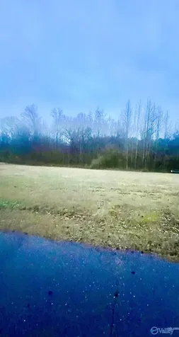 Lot 1 Holcomb Road Guntersville AL 35976