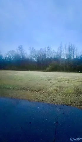 Lot 1 Holcomb Road Guntersville AL 35976