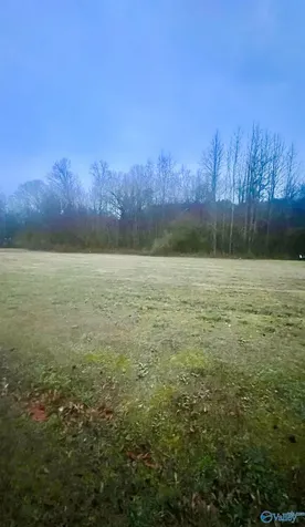 Lot 1 Holcomb Road Guntersville AL 35976