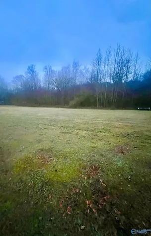 Lot 1 Holcomb Road Guntersville AL 35976