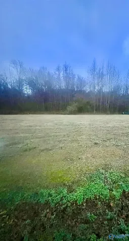 Lot 1 Holcomb Road Guntersville AL 35976