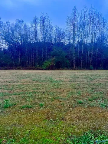 Lot 1 Holcomb Road Guntersville AL 35976
