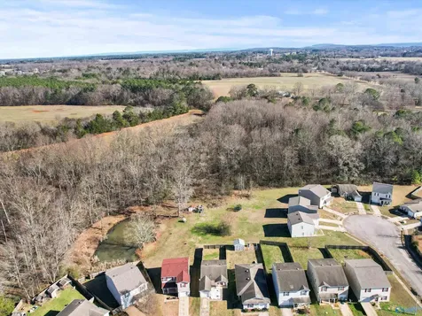 153 Jesse Layne Drive Harvest AL 35749