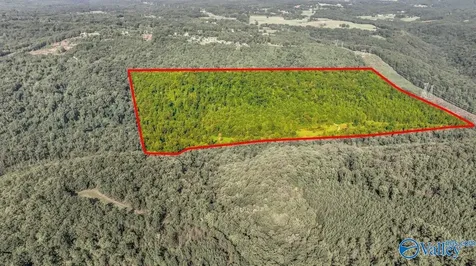 984 Murphy Hollow Road Trenton GA 30752