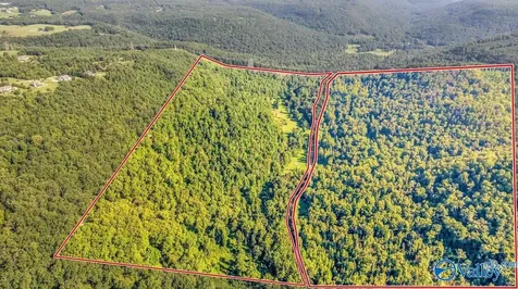 984 Murphy Hollow Road Trenton GA 30752