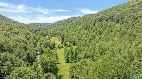 984 Murphy Hollow Road Trenton GA 30752