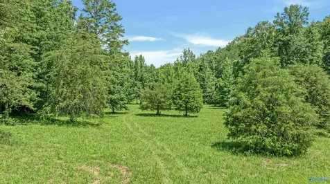 984 Murphy Hollow Road Trenton GA 30752