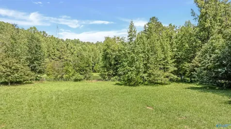984 Murphy Hollow Road Trenton GA 30752