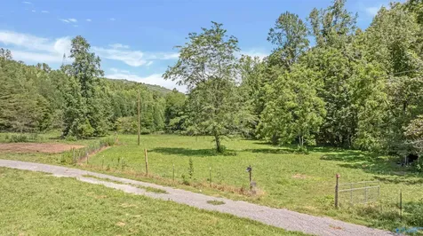 984 Murphy Hollow Road Trenton GA 30752