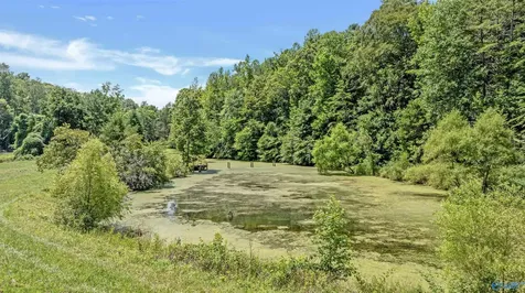 984 Murphy Hollow Road Trenton GA 30752