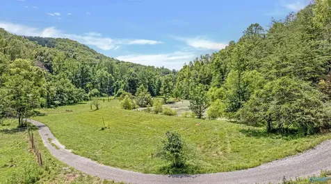 984 Murphy Hollow Road Trenton GA 30752