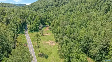 984 Murphy Hollow Road Trenton GA 30752