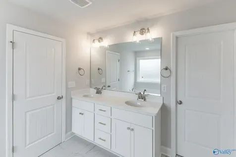 29607 Eaglebrooke Drive Harvest AL 35749