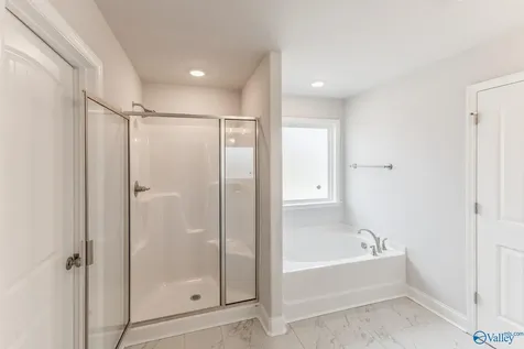 29607 Eaglebrooke Drive Harvest AL 35749