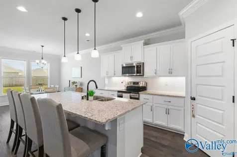 100 Tanner Drake Court New Market AL 35761