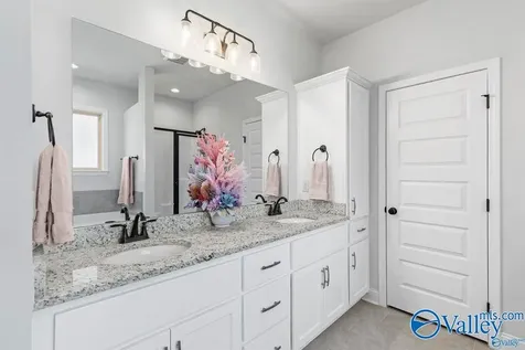 100 Tanner Drake Court New Market AL 35761