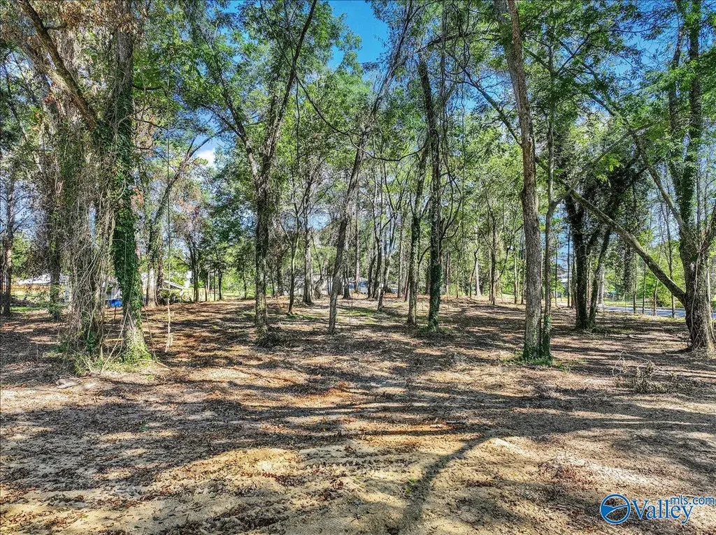 107 Convent Road NE Cullman AL 35055