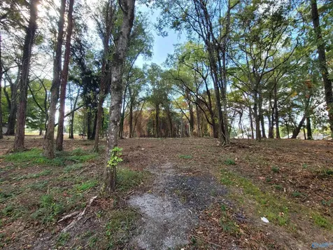 107 Convent Road NE Cullman AL 35055