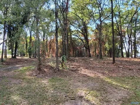 107 Convent Road NE Cullman AL 35055
