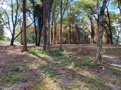 107 Convent Road NE Cullman AL 35055