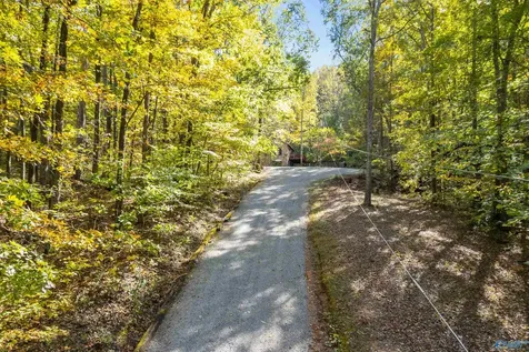 136 Higdon Road Falkville AL 35622