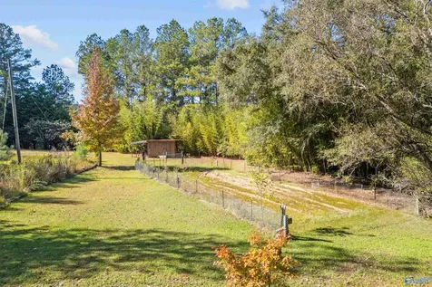 136 Higdon Road Falkville AL 35622