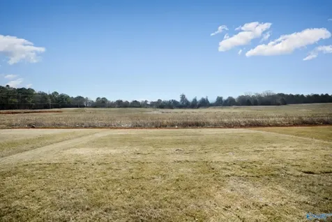 116 Malvern Hill Drive Madison AL 35756