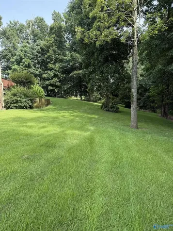 30 Cardinal Drive Guntersville AL 35976