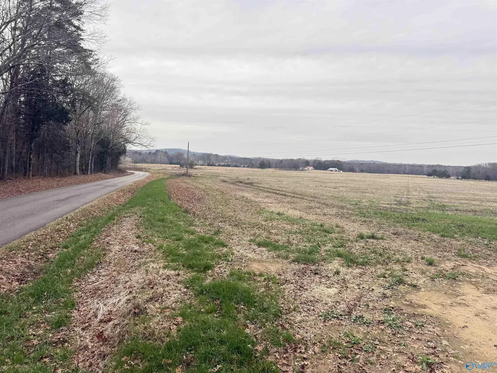 32 Acres Hogan Road Falkville AL 35622
