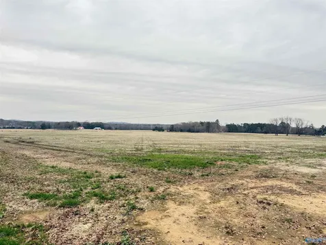 32 Acres Hogan Road Falkville AL 35622