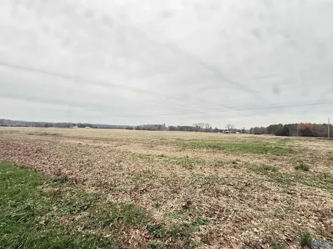 32 Acres Hogan Road Falkville AL 35622