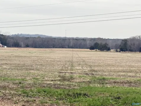 32 Acres Hogan Road Falkville AL 35622