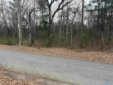 32 Acres Hogan Road Falkville AL 35622