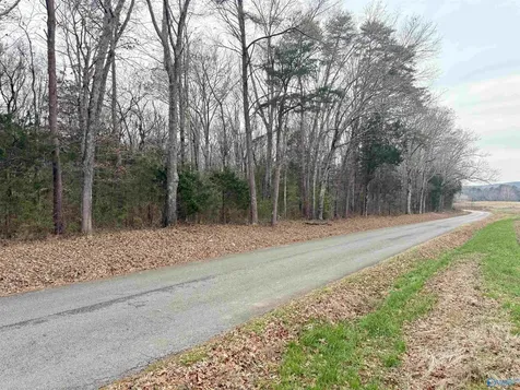 32 Acres Hogan Road Falkville AL 35622